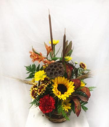 Autumn Glory