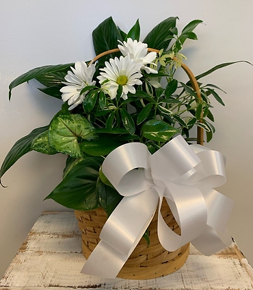 Planter Basket $45.95