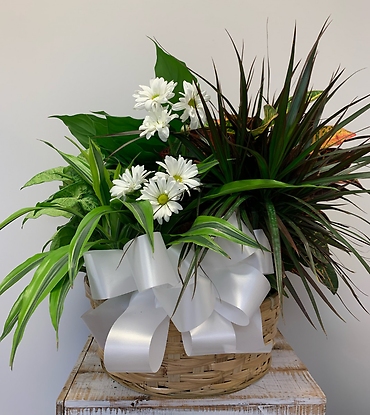 Planter Basket $120.95