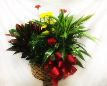 Planter Basket* ($150)