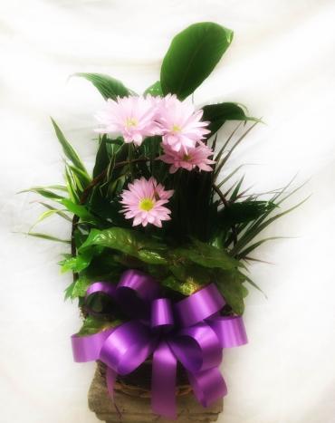 Planter Basket* ($55)